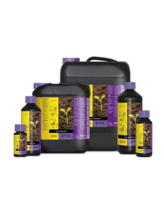 ATAMI B'CUZZ - Nutrizione A+B 2X1L