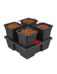 Wilma Growsystem 4 Large - Sistema Idroponico