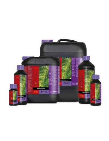 ATAMI B'CUZZ COCO NUTRITION A+B 2X5L