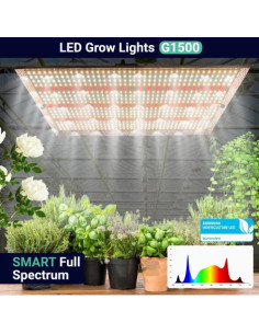 Growealth G1500 - Quantum Board 150W LED