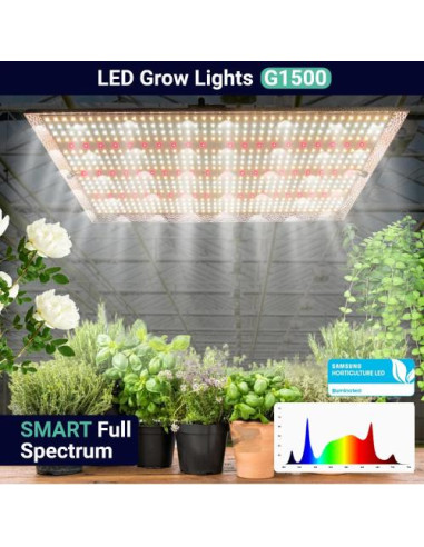 Growealth G1500 - Quantum Board 150W LED