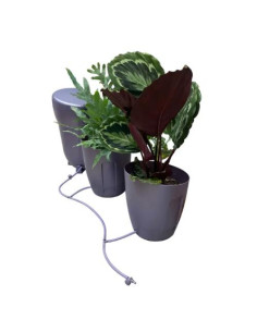 AUTOPOT KHLORIS Vaso Idroponico Viola