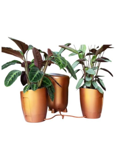 AutoPot Khloris Vaso Idroponico Rame