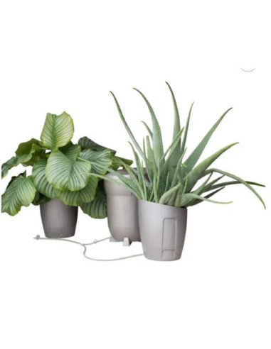 AutoPot Khloris Vaso Idroponico - Salvia