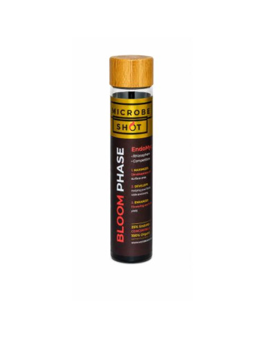 BLOOM PHASE - MICROBE SHOT 90G