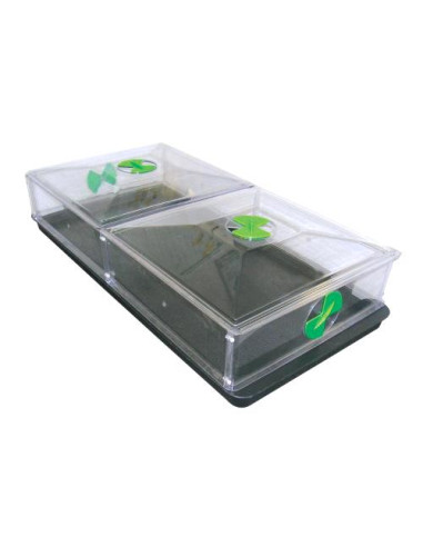 Vitopod Large Riscaldato - Nutriculture