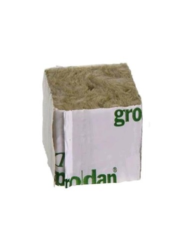 Grodan - Cubetto Lana di Roccia 4x4x4