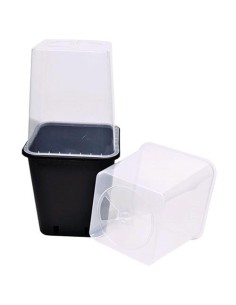 P&B - Vaso Serra per Vaso 11L Trasparente