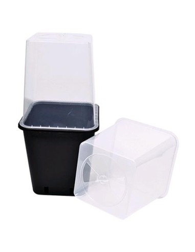 P&B - Vaso Serra per Vaso 11L Trasparente