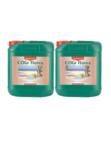 CANNA COGR FLORES A+B 2X - 5L: Nutrimento Avanzato