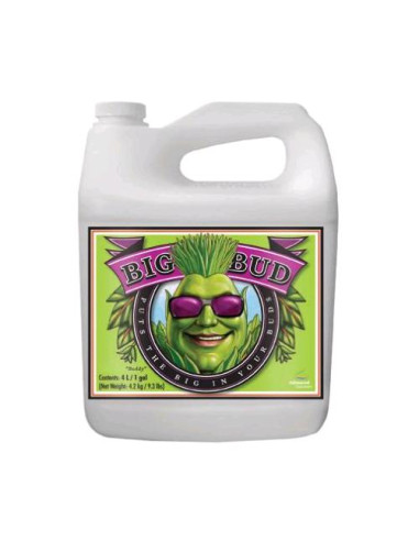 Advanced Nutrients Big Bud 10L - Fioritura Perfetta