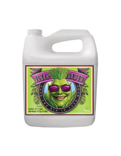 Big Bud 20L - Advanced Nutrients