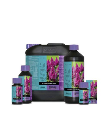 ATAMI B'CUZZ - Blossom Builder 50ml