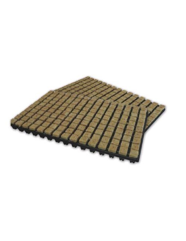 GRODAN Vassoio Germinazione - 150 Cubetti Rockwool