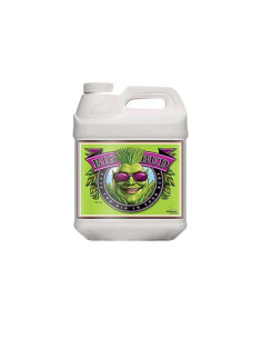 ADVANCED NUTRIENTS - BIG BUD 250ML
