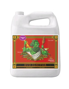 Bud Ignitor 5L - Advanced Nutrients