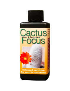 Growth Technology Cactus Focus 300ml