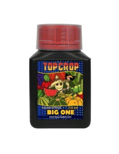 TOP CROP - BIG ONE 250ML Fioritura Potenziata
