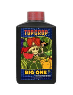 TOP CROP - BIG ONE - 1L Stimolatore Fioritura