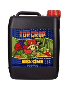 TOP CROP - BIG ONE - Stimolatore 5L