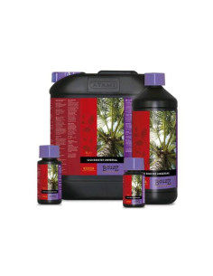 ATAMI B'CUZZ Coco Booster 5L
