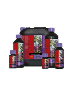 ATAMI B'CUZZ Coco Bloom Stimulator 5L