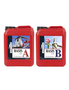 MILLS - BASIS A+B 5L - Nutrizione Completa