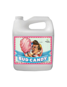 Bud Candy - Zuccheri Essenziali 10L