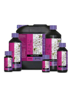 ATAMI B'CUZZ Bloom Stimulator 100ml