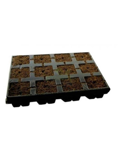 EAZY PLUG - Vassoio 12 Cubi 3.5cm