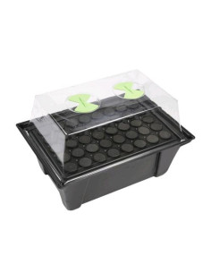 Nutriculture X-Stream Propagatore - 40 Talee