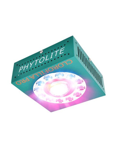 PHYTOLITE Lampada LED Clorofilla CREE 3070 80