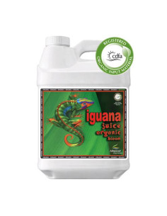 Iguana Juice Bloom 10L - 100% Organico