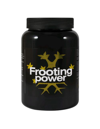 BAC Frooting Power - Potenziatore Fioritura 1KG