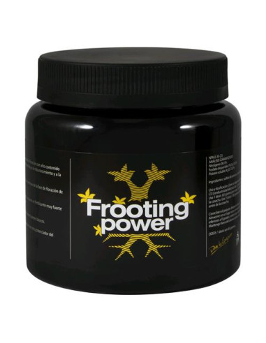 BAC FROOTING POWER - Fiori Potenti