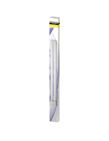 SECRET JARDIN TCL 55W - Propagation Light