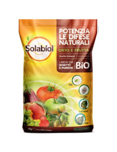 SOLABIOL Zeolite Cubana - Corroborante Naturale 1KG