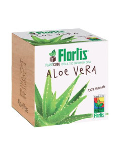 FLORTIS PlantCube Aloe Vera - Giardino in Casa