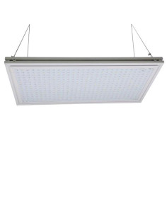 PHYTOLITE Micro Boards 60 - LED Ecologico