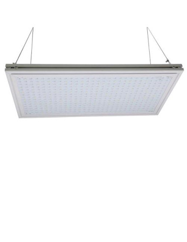 PHYTOLITE Micro Boards 60 - LED Ecologico