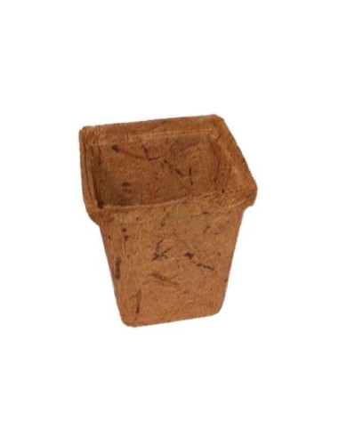 Vaso Cocco Quadrato 8x8 - JIFFY