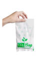 CO2 BAG - Busta CO2 per Crescita Piante