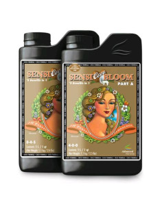 PH Perfect Sensi Coco Bloom A+B 10L