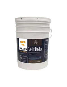 REMO NUTRIENTS - VELOKELP 20L Integratore