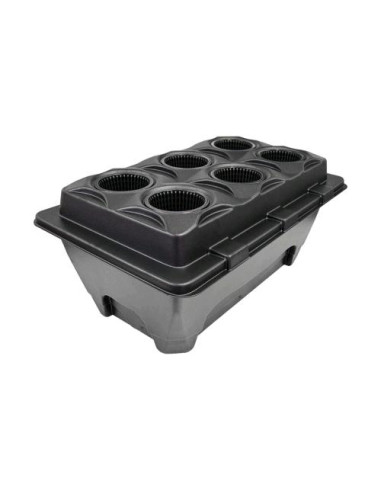 NUTRICULTURE - OXYPOT V6: Sistema DWC Efficiente