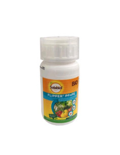SOLABIOL Insetticida Flipper 200ml