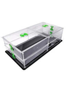 Vitopod Large 2 Piani Riscaldato - Nutriculture