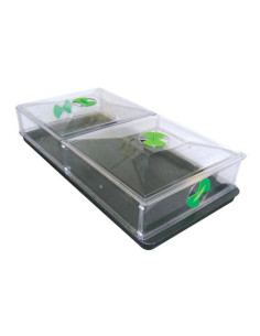 Vitopod Large 1 Ripiano - Nutriculture