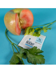 INTEGRA BOOST TERPENE - Terpinolene 12 PZ