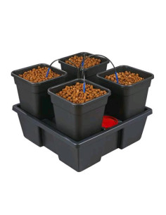WILMA GROWSYSTEM 4 Large - Sistema Idroponico